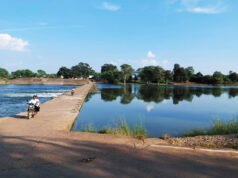 जंगलेसर मोखला एनीकट का हुआ गुणवत्तायुक्त मरम्मत कार्य