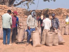 धान खरीदी महाभियान से किसानों में खुशी, 31.72 लाख क्विंटल धान की खरीदी