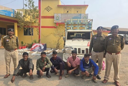 डोंगरगांव पुलिस ने गौवंश तस्करी में पकड़ाए 5 आरोपी, 9 मवेशी बरामद