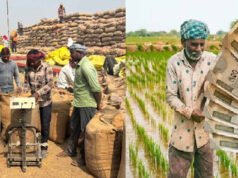 CG: किसानों को मिली खुशखबरी होली पर्व से पहले समर्थन मूल्य पर धान बेचने वाले किसानों को अंतर की राशि एकमुश्त भुगतान…