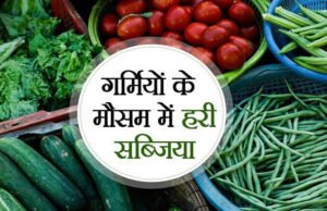 Summer Plant: गर्मियों में इन सब्जियों के पौधे लगाना रहता है बेस्ट, जानें खाद-पानी का सही तरीका…