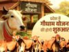 CG: ‘गौधाम योजना’ का शुभारंभ’ प्रदेश के जिलों में 29 गौधाम का होगा उद्घाटन…