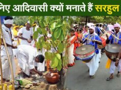 CG: सरहुल उत्सव जनजातीय संस्कृति की विशिष्ट धरोहर, इसे संजोकर रखना हम सबकी जिम्मेदारी…