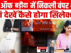 Bank Jobs: बैंक ऑफ बड़ौदा में निकली बंपर वैकेंसी, मैनेजर के पदों पर हो रही भर्ती, तुरंत करें अप्लाई…