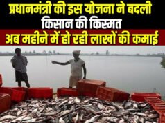 CG: प्रधानमंत्री मत्स्य संपदा योजना से बदली किस्मत…