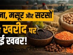 CG” चना, मसूर एवं सरसों विक्रय हेतु पंजीयन की अंतिम तिथि 20 अप्रैल तक…