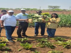 CG: राज्य में कृषि एवं जैव ईंधन के क्षेत्र में ऐतिहासिक कदम…