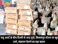 बर्ड फ्लू अलर्ट 2026: बर्ड फ्लू अलर्ट की धज्जियां, चूजों की खेप पहुँचने से हड़कंप, स्टेशन परिसर में लगा बॉक्सों का ढेर…