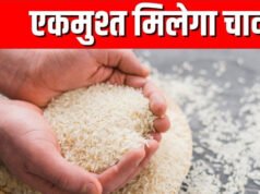 CG” तीन माह का चावल मिलेगा एक साथ’