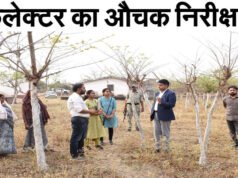 CG” कलेक्टर ने गठुला में टसर परिवर्तन केन्द्र का किया निरीक्षण’