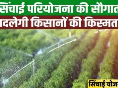 CG” बीजापुर जिले की दो सिंचाई योजनाओं के कार्यो के लिए 6 करोड़ 58 लाख 7 हजार रूपए स्वीकृति’