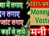 “Money Plant Vastu Tips: कहीं आपके घर में गलत दिशा में नहीं रखा है मनी प्लांट? फायदे की जगह हो सकता है भारी नुकसान!”