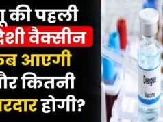 Dengue Vaccine India: भारत में पहली डेंगू वैक्सीन को मिली हरी झंडी, जानें किसे और कैसे लगेगी ये डोज?