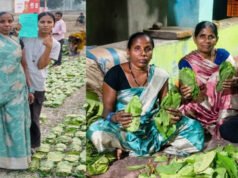 ’हरा सोना’ बना समृद्धि का आधार : तेंदूपत्ता खरीदी की बढ़ी दर ने संग्राहकों का बढ़ाया उत्साह व भरोसा, हर फड़ पर रौनक…