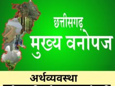 बदलता छत्तीसगढ़ : वनोपज की चमक से संवरती ग्रामीण अर्थव्यवस्था…