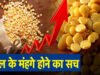 क्यों बढ़ रही हैं दालों की कीमत? कीमतों ने बिगाड़ा रसोई का बजट…