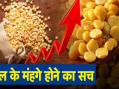 क्यों बढ़ रही हैं दालों की कीमत? कीमतों ने बिगाड़ा रसोई का बजट…