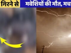 CG: आकाशीय बिजली का कहर, 11 मवेशियों की गई जान, घटना के बाद इलाके में हड़कंप…
