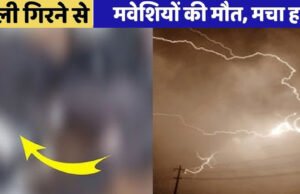 CG: आकाशीय बिजली का कहर, 11 मवेशियों की गई जान, घटना के बाद इलाके में हड़कंप…