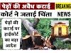 ऑक्सीजोन में थाना निर्माण केस, कोर्ट ने पेड़ों के नुकसान पर जताई चिंता…