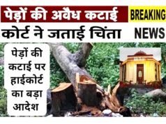ऑक्सीजोन में थाना निर्माण केस, कोर्ट ने पेड़ों के नुकसान पर जताई चिंता…