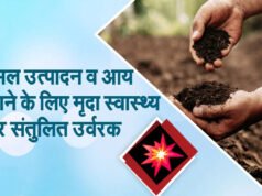 जिले में उर्वरकों की पर्याप्त उपलब्धता, किसान भाई मृदा स्वास्थ्य के अनुरूप खाद का करें उपयोग…