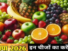 Nautapa 2026: नौतपा में इन चीजों का दान दिलाएगा सूर्य और पितरों की कृपा’