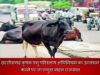 छत्तीसगढ़ कृषक पशु परिरक्षण अधिनियम 2014 का उल्लंघन करने पर जप्तशुदा वाहन राजसात….