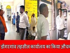 कलेक्टर ने डोंगरगांव तहसील कार्यालय का किया औचक निरीक्षण…