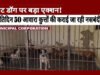 नगर पालिक निगम द्वारा नागरिकों की सुरक्षा के लिए आवारा एवं पालतू कुत्तों के नियंत्रण तथा पशु स्वास्थ्य संरक्षण के लिए किया जा रहा कार्य…