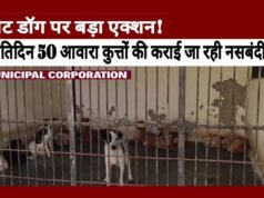 नगर पालिक निगम द्वारा नागरिकों की सुरक्षा के लिए आवारा एवं पालतू कुत्तों के नियंत्रण तथा पशु स्वास्थ्य संरक्षण के लिए किया जा रहा कार्य…