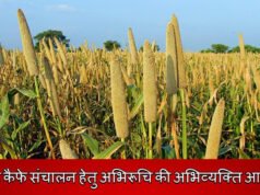 मिलेट कैफे संचालन हेतु अभिरूचि की अभिव्यक्ति आमंत्रित…