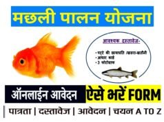 cg” मडिय़ान जलाशय और मनकी जलाशय को मत्स्य पालन, मत्स्याखेट एवं मत्स्य विक्रय हेतु पट्टे पर देने के लिए 23 जुलाई तक आवेदन आमंत्रित…”