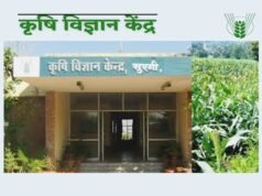 cg” कृषि विज्ञान केंद्र सुरगी द्वारा कृषकों को मौसम आधारित कृषि सलाह…”