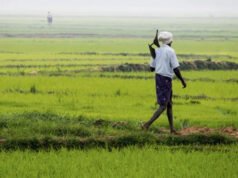 cg” किसान असिंचित क्षेत्रों में धान के बदले अन्य वैकल्पिक फसलों को दें बढ़ावा…”