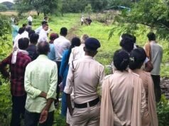 कलेक्टर जनदर्शन में प्राप्त शिकायत पर घास मद की शासकीय भूमि से हटाया गया अतिक्रमण…