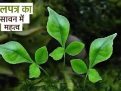 सावन : भगवान शिव की पूजा में बेलपत्र का विशेष महत्व…