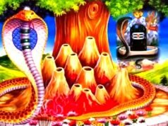 नाग पंचमी 2026: सावन में विशेष पूजा विधि और उपाय…
