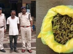 cg” नशे के विरुद्ध प्रभावी कार्यवाही, अवैध गांजा बिक्री करने वाला आरोपी गिरफ्तार…”
