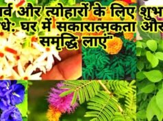 सावन सोमवार पर शुभ पौधों की पूजा सकारात्मकता, सावन का महीना और पौधों का महत्व…