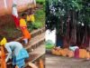 सेवा संकल्प अभियान के तहत घुमका में चला स्वच्छता ही सेवा…