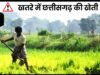 छत्तीसगढ़ में फसलों को नुकसान का खतरा…