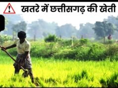 छत्तीसगढ़ में फसलों को नुकसान का खतरा…