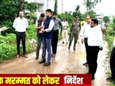 “कलेक्टर ने सिंघोला-भोथीपार खुर्द सड़क का किया निरीक्षण”