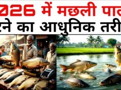 आधुनिक प्रबंधन से बढ़ेगा राज्य में मछली उत्पादन…
