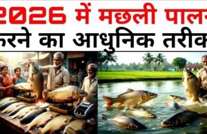 आधुनिक प्रबंधन से बढ़ेगा राज्य में मछली उत्पादन…