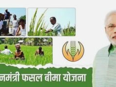 प्रधानमंत्री फसल बीमा योजना में जिले ने हासिल की बेहतर प्रगति…